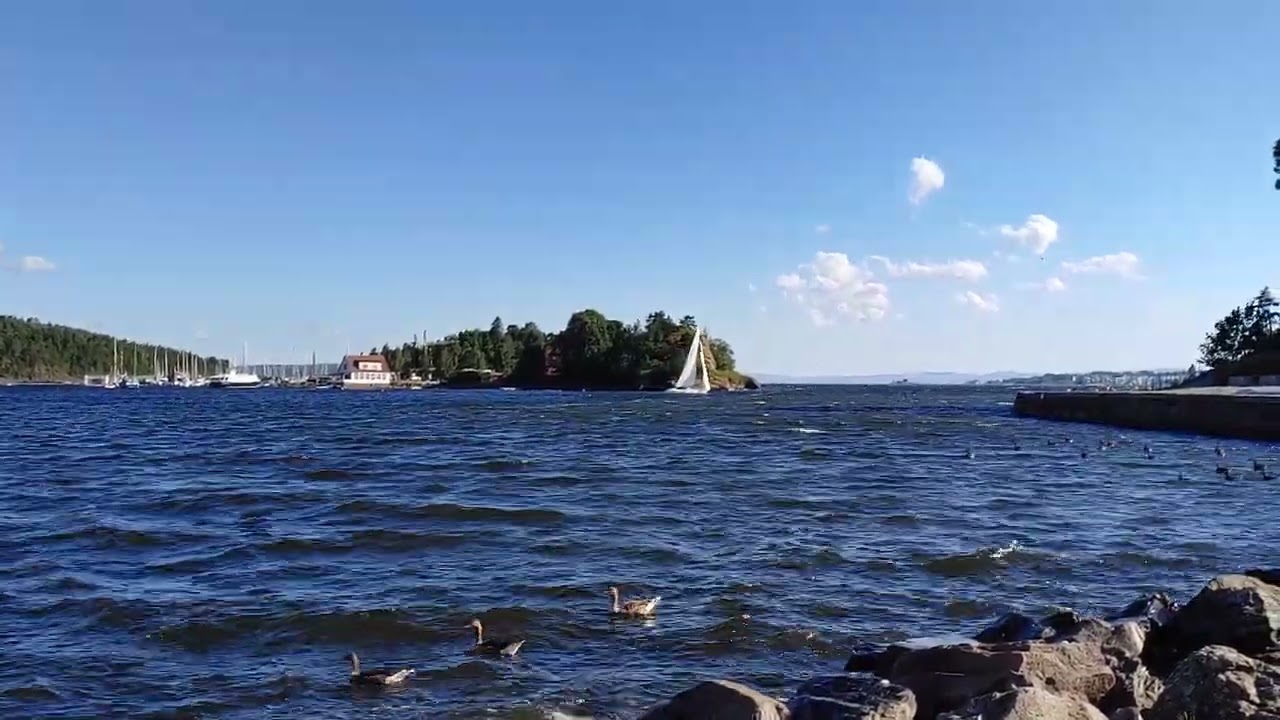 Sailing Oslo