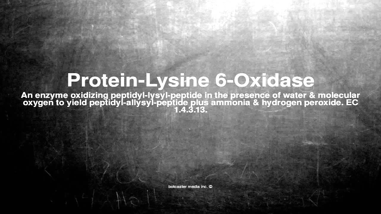 Medical vocabulary: What does Protein-Lysine 6-Oxidase mean