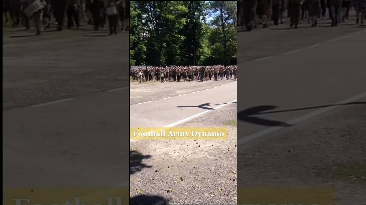 Die DYNAMO Armee 🖤💛mit OST OST OSTDEUTSCHLAND #shorts #foryou #viralvideo #dynamodresden