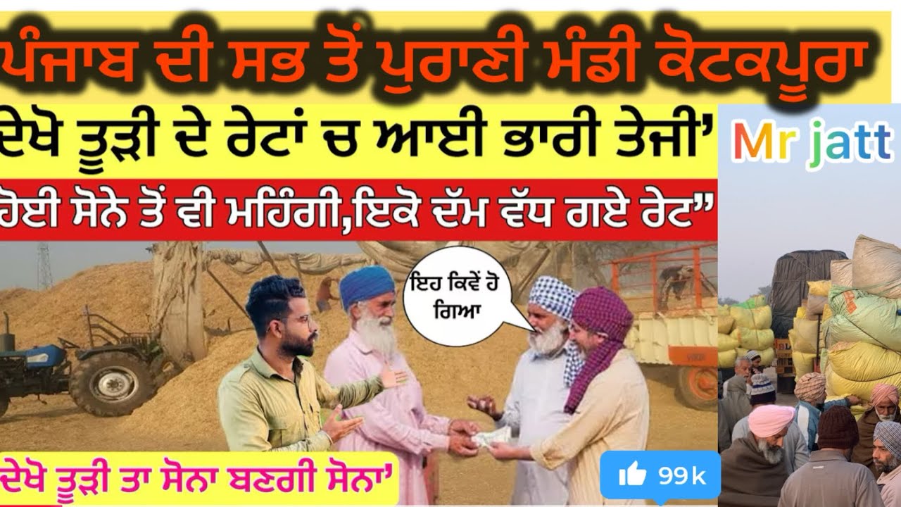 Todi price today // ਤੂੜੀ ਦੀ ਬੋਲੀ ਦੇ ਨਵੇਂ ਰਿਕਾਰਡ ਤੋੜ ਰੇਟ??#mandiupdate #farming #kotkapuramandi 