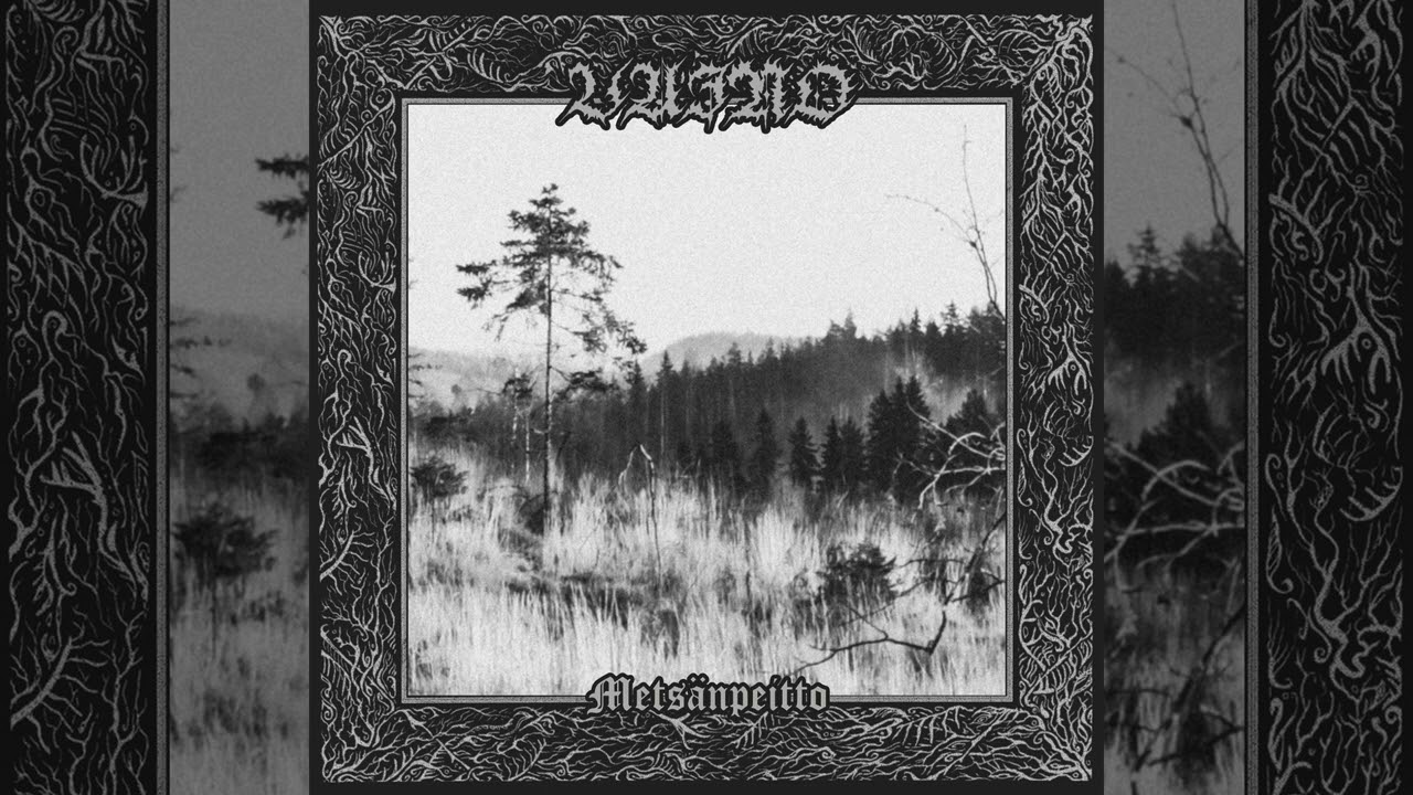 Vaino - Mets&auml;npeitto [Full Album] - 2022