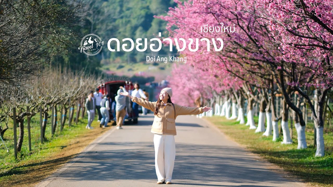 เที่ยวดอยอ่างขางในฤดูสีชมพู สัมผัสซากุระสายพันธุ์ญี่ปุ่น เชียงใหม่หนาวมาก | EP.173 Doi Ang Khang