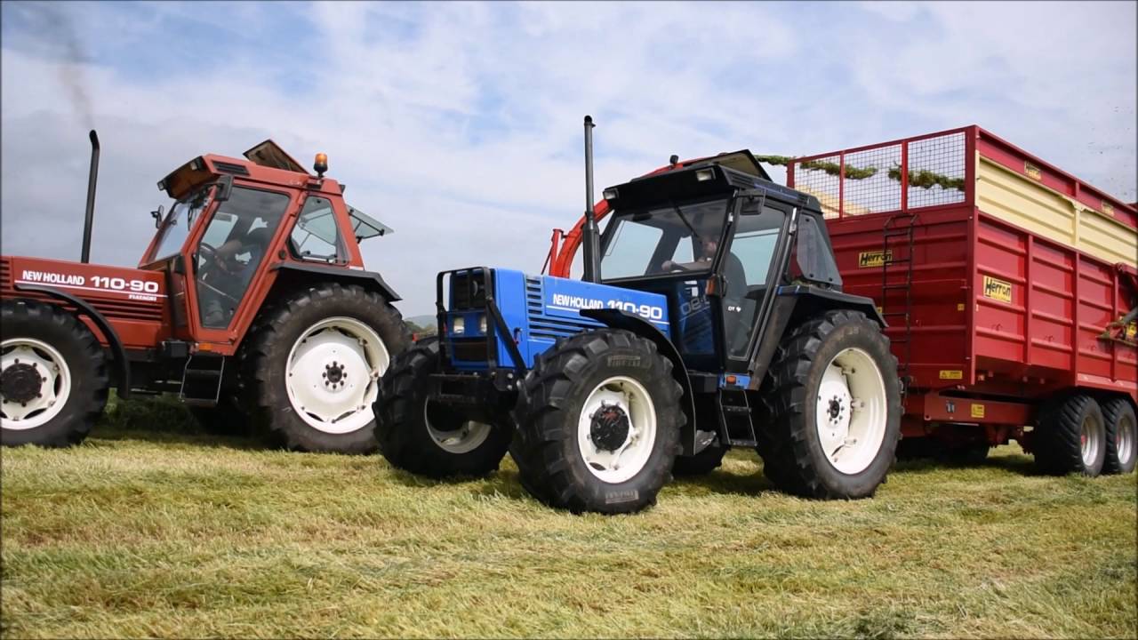 Camnish Farms First Cut Grass