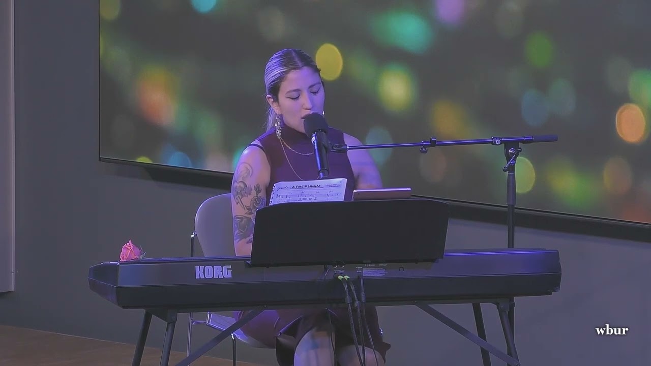 Haydee Irizarry Performs 