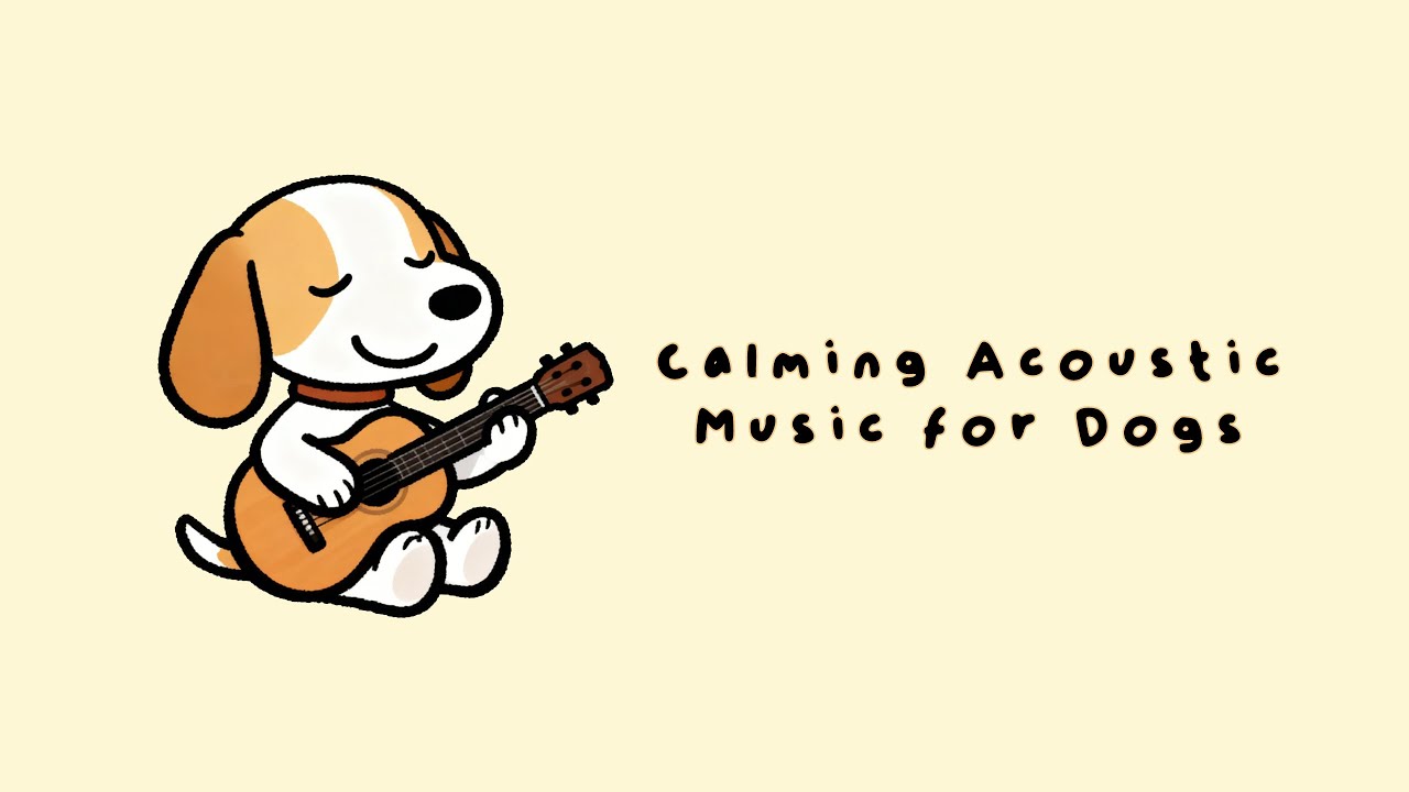 Calming Music for Dogs 🐾 Gentle Acoustic for Relaxation | 4 Hour Version