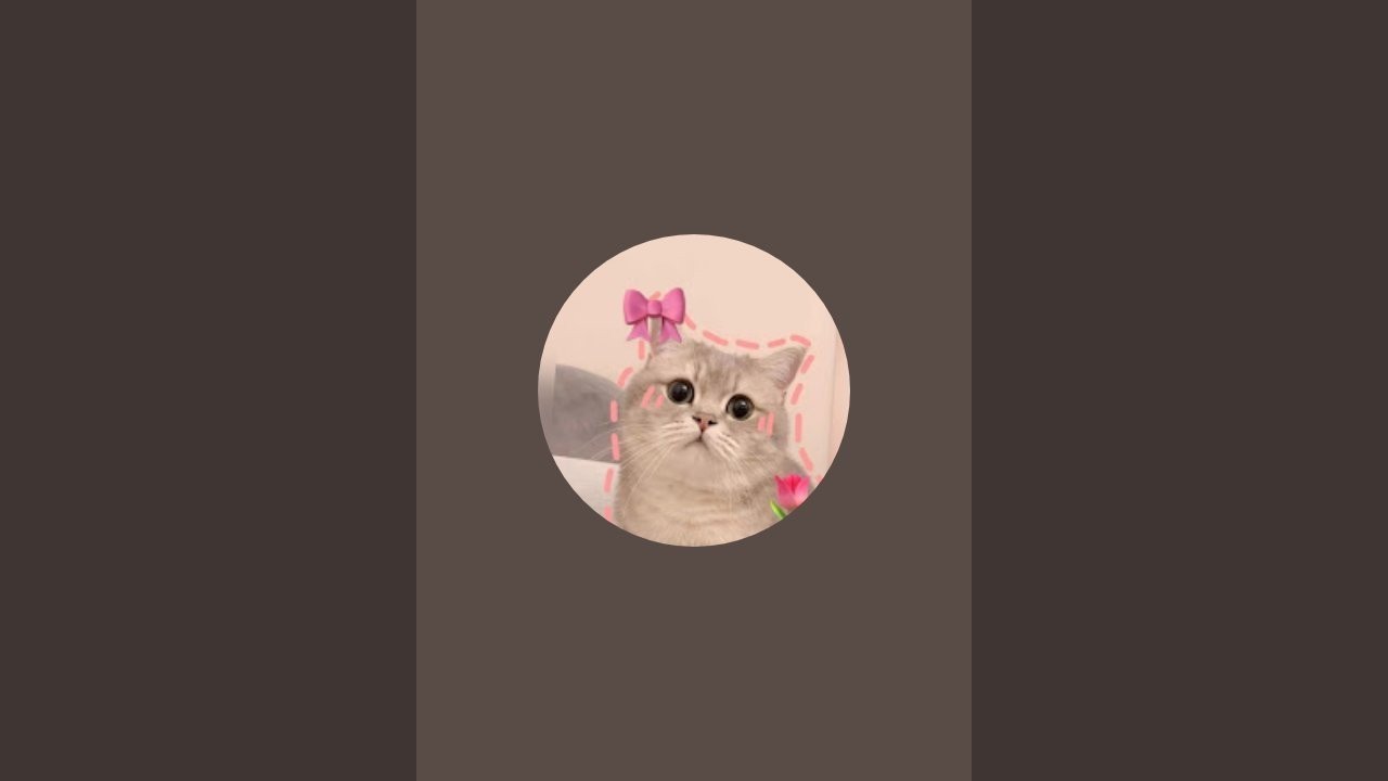 HAI BOCIL BOCIL ROBLOX TONTON LIVE AKU YUKK
