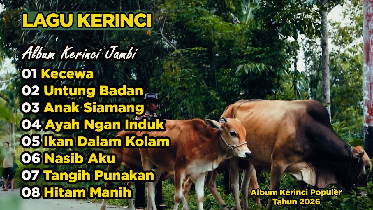 Lagu Daerah Kerinci Jambi Full Album, Paling populer 2026 enak didengar saat santai