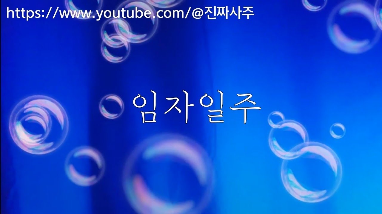 진짜사주🫧임자일주