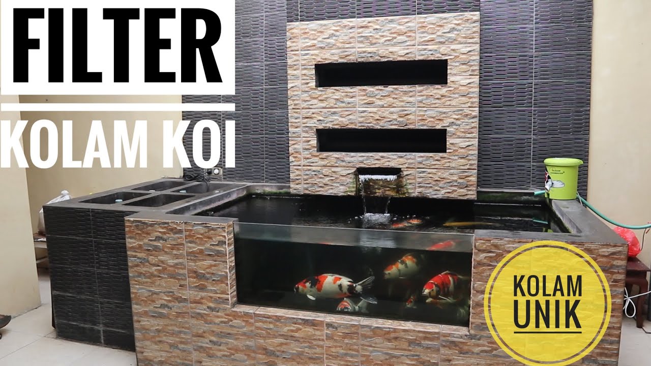 FILTERASI KOLAM KOI MINIMALIS JERNIH