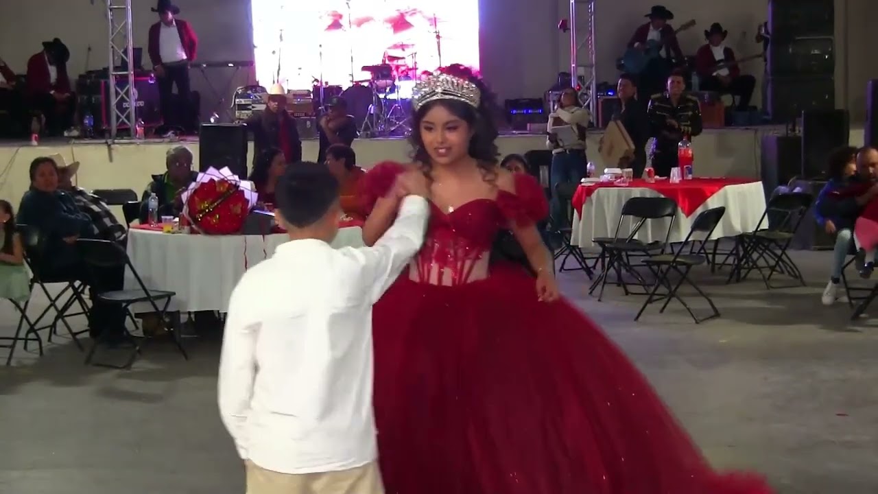 MIS XV AÑOS EVELYN (RESUMEN)