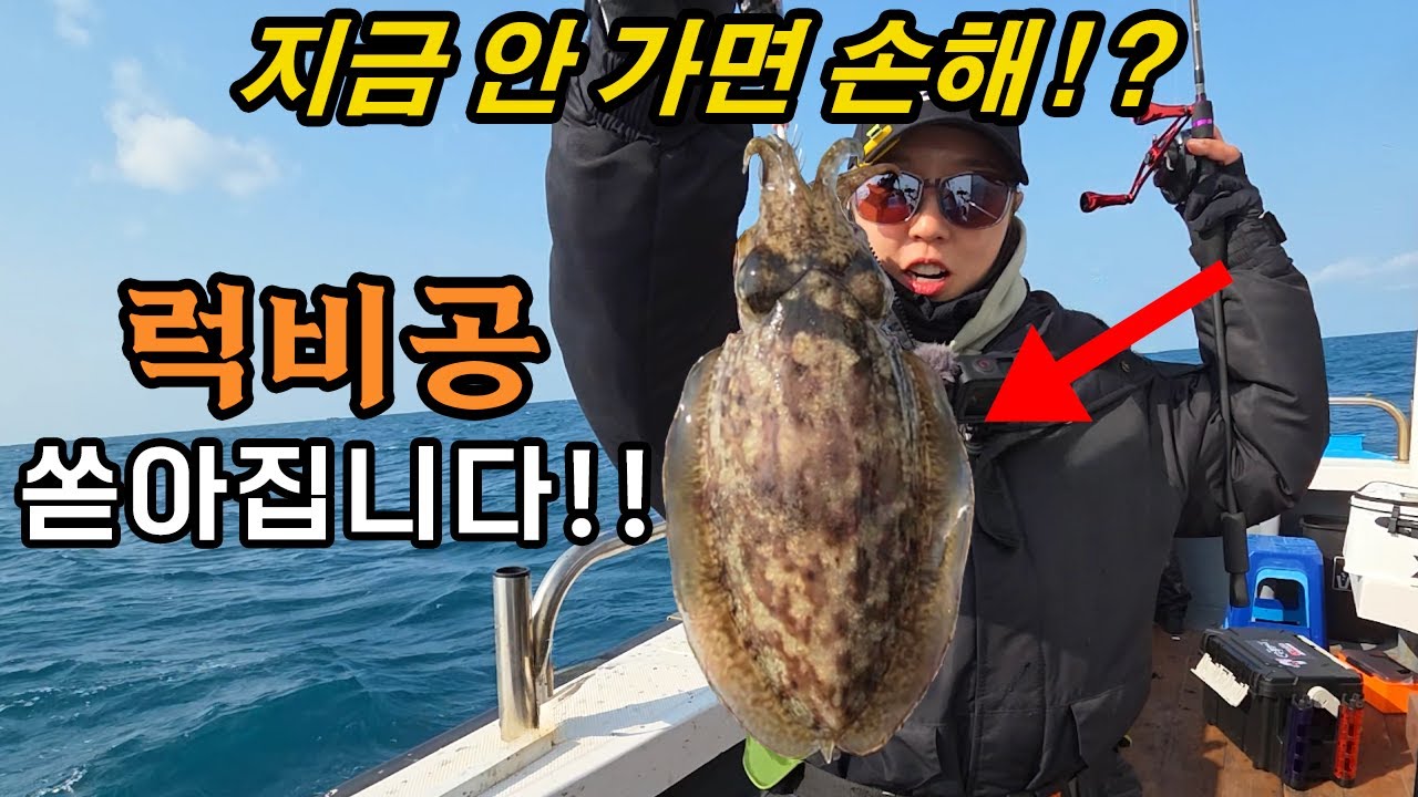 갑오징어낚시 3마리 잡으면 선비 회수 완료! 지금 달리세요!!(입문자 핵꿀팁)