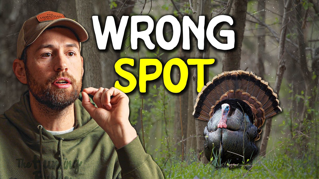 Most Hunters Sit in the Wrong Spot for Turkeys