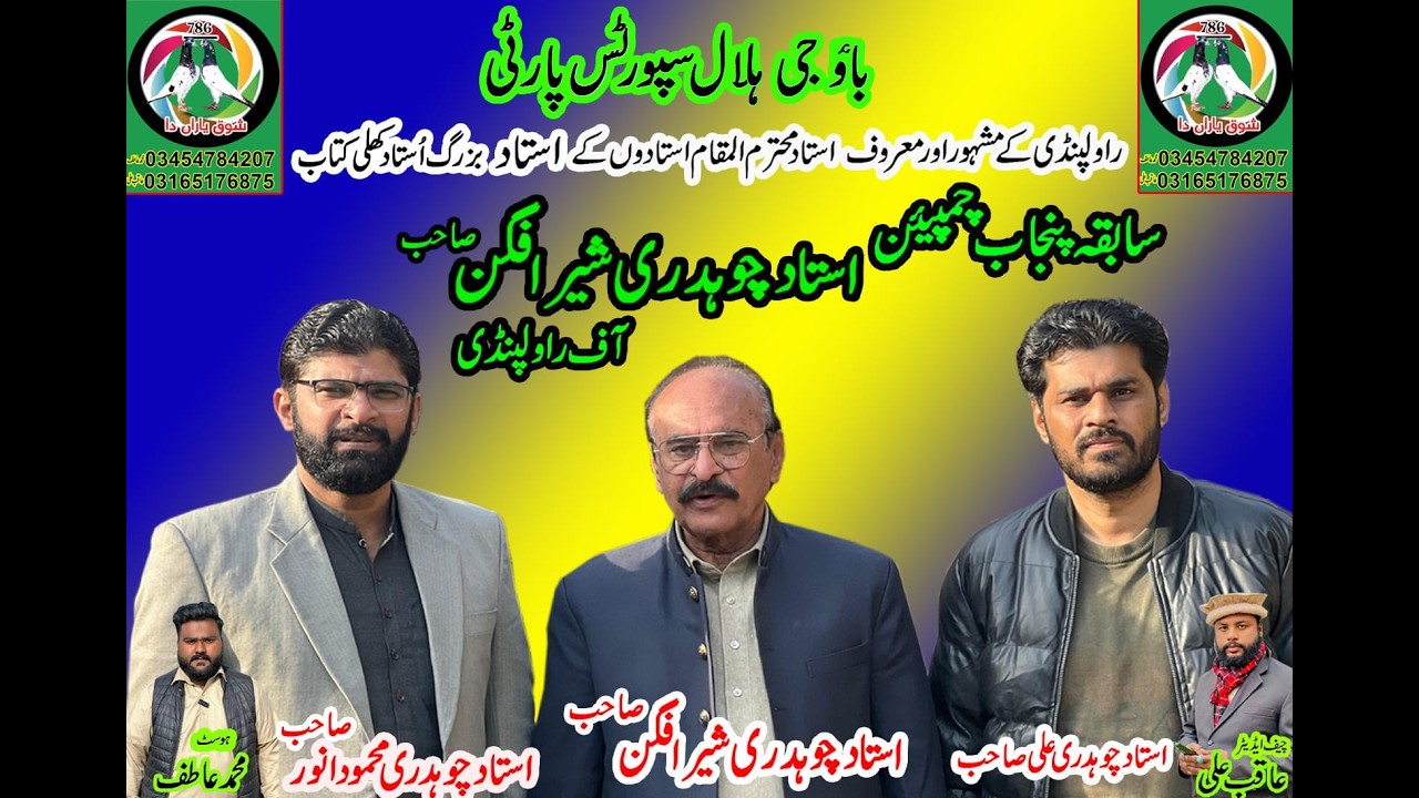 Ustad  Ch sher afghan| Ch mehmood|#kabotar #pigeon #kabootar #fypシ゚viral #kabutar #parwazikaboter