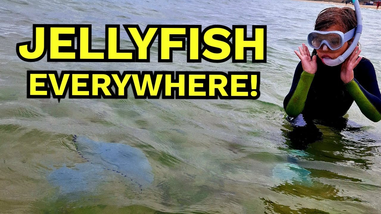 Swimming in the BLACK SEA! - Family VanLife (S1E14)