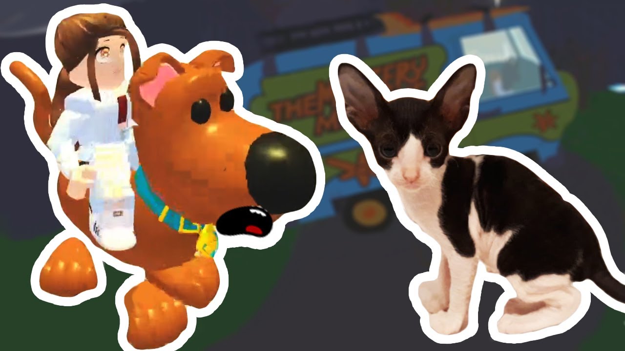SCOOBY DOO Adopt Me Update  [Roblox]