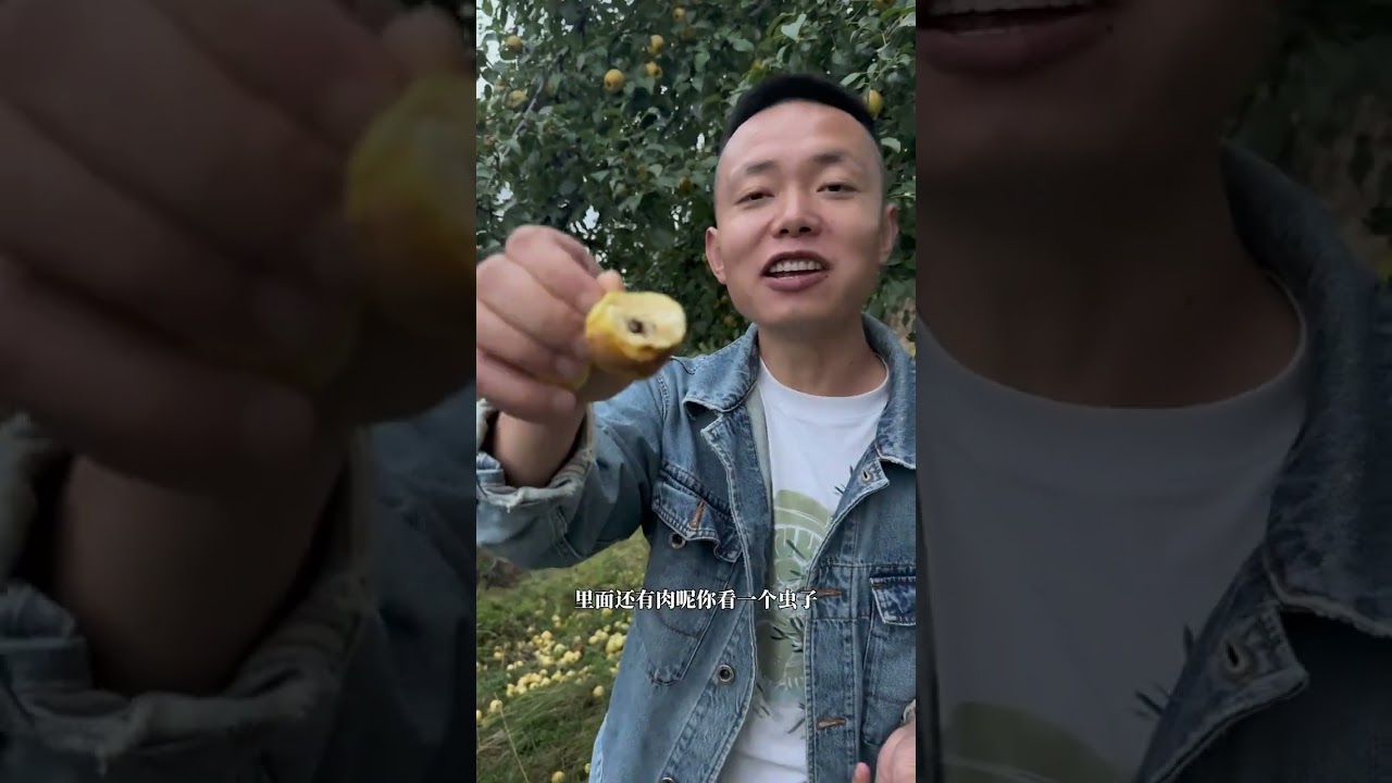 山路蜿蜒，炊烟升起，我们走进山上的独居老人家里，一起动手做了一顿洋芋搅团，这一刻的味道不止搅团的香，更是陪伴的温暖#家的味道 #优质农产品 #甘肃特色美食 #定西土豆