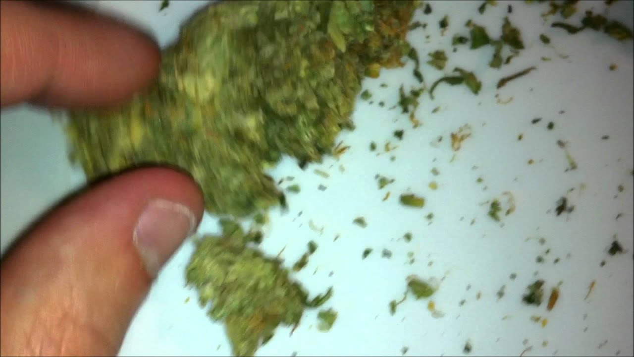 AK-47 AND ORANGE BUD