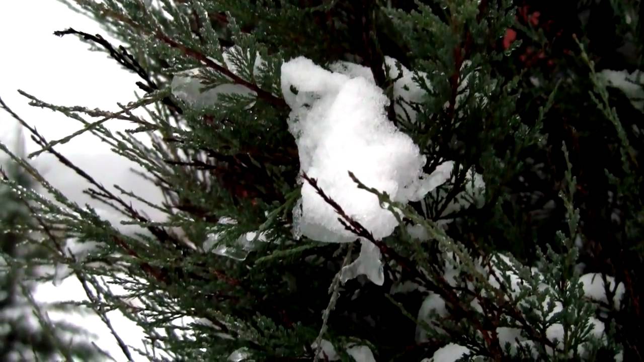 Lumelaud Eestis - Lumi 2010 [HD]