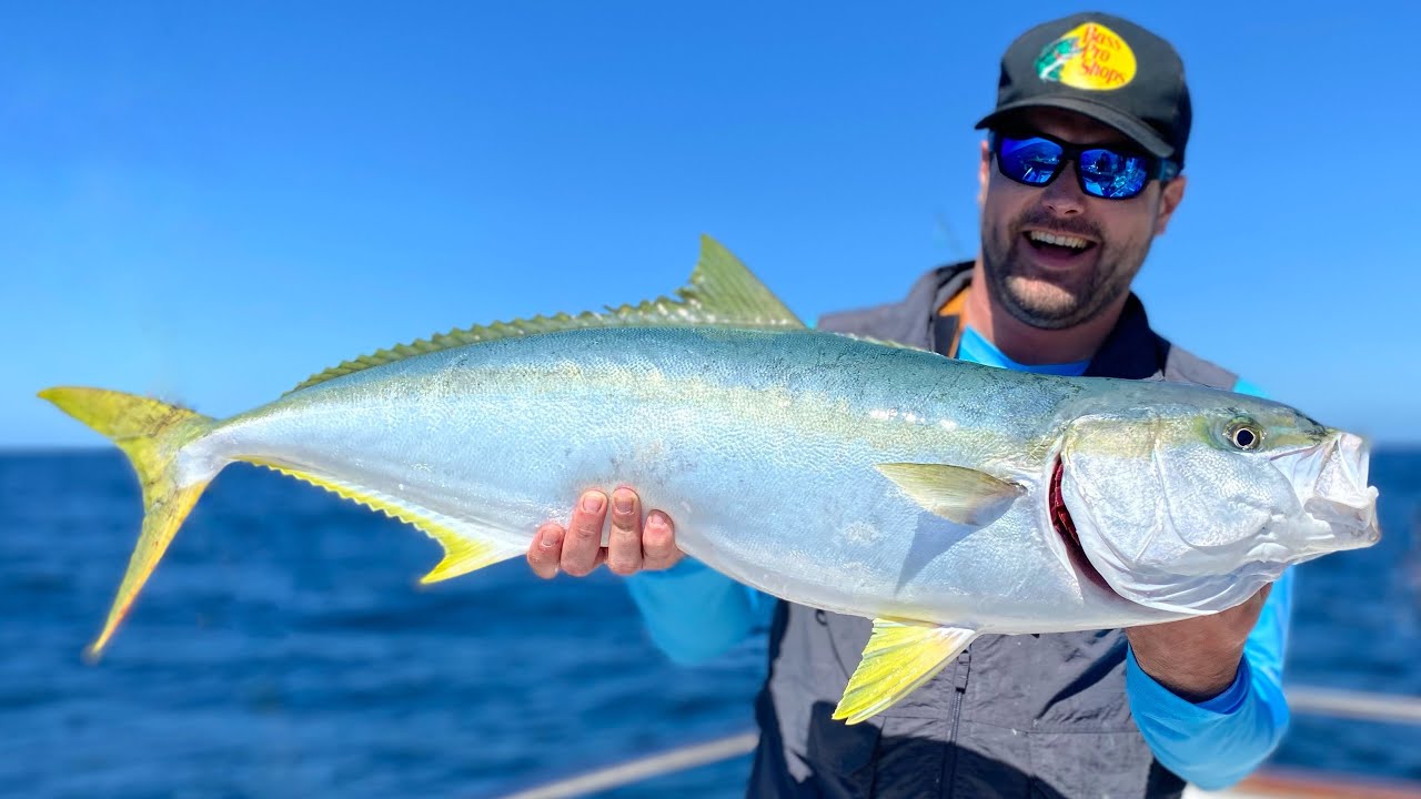 Jigging and Trolling for Yellowtail Amberjack, Red Porgy and Seabass