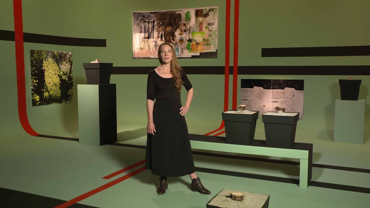 L'art avec la nature | Art & Écologie | Centre Pompidou