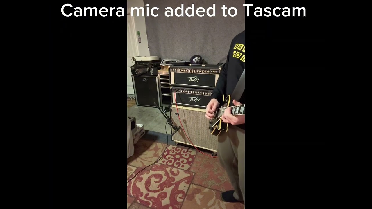 Peavey Mace 320t with Peavey Black Widow speakers 