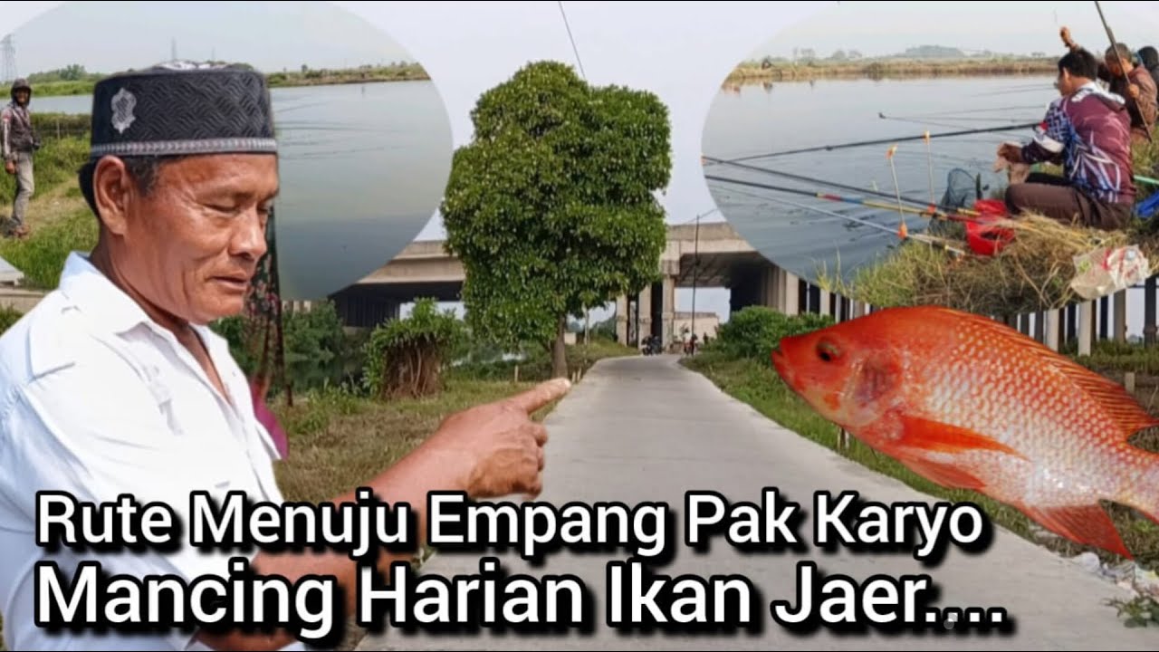 Rute Menuju Empang Pak Karyo // Mancing Harian Ikan Mujaer, BKT, Marunda, Bekasi 