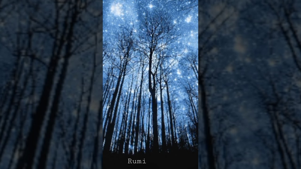 Sufi flute meditation