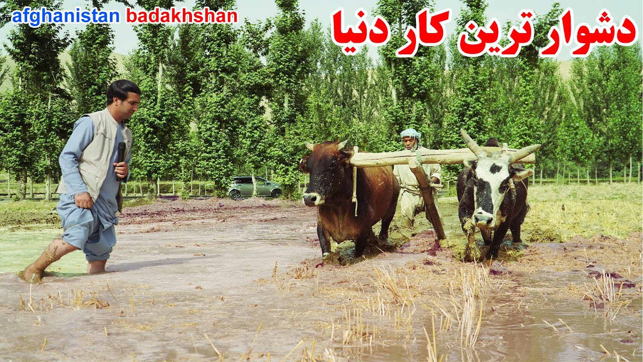 کشم بدخشان، مشکل ترین کار دنیا، دهکده بلوچ ها، قصه های بدخشانی Badakhshan Afghanistan