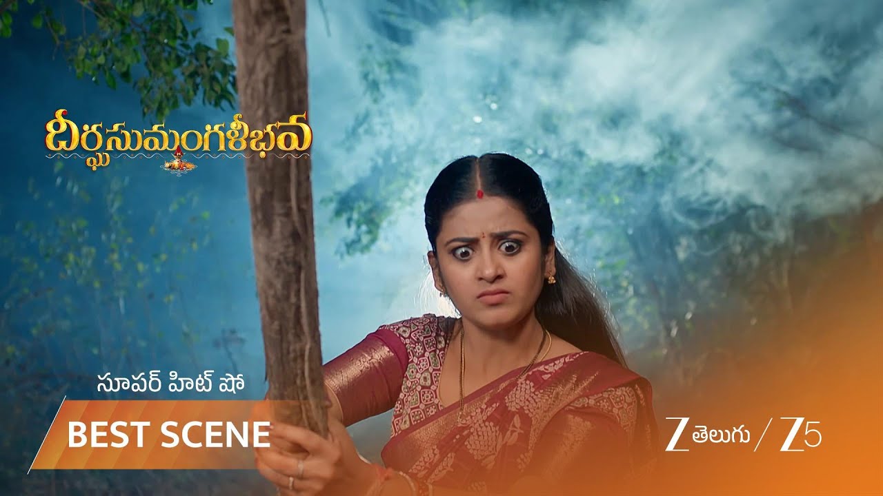 DHEERGA SUMANGALI BHAVA | గౌతమ్ ని కొట్టడానికి వచ్చిన రౌడీలు!