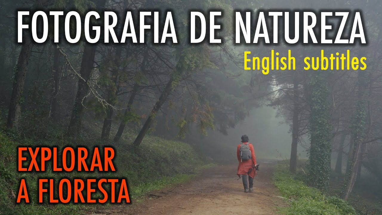 EXPLORAR A FLORESTA | FOTOGRAFIA DE NATUREZA