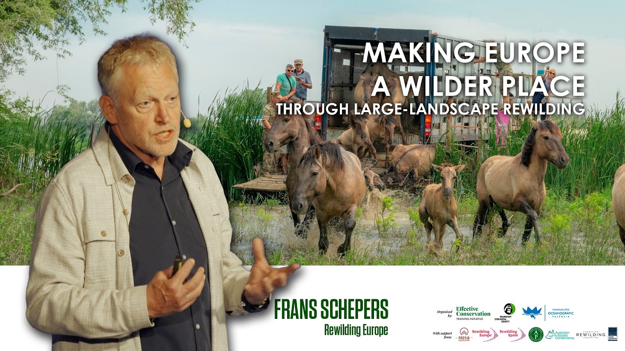 Making Europe a Wilder Place by Frans Schepers