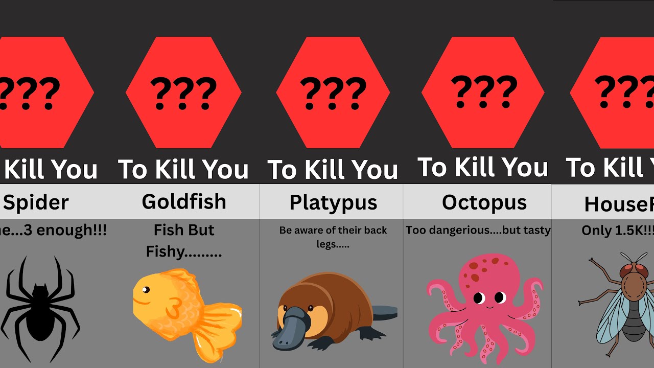 Data Comparison | How Many Animals to Kill You!!!