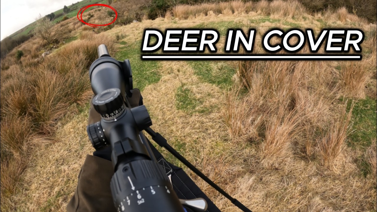My Toughest Hunt This Season -Sika Stalking Ireland