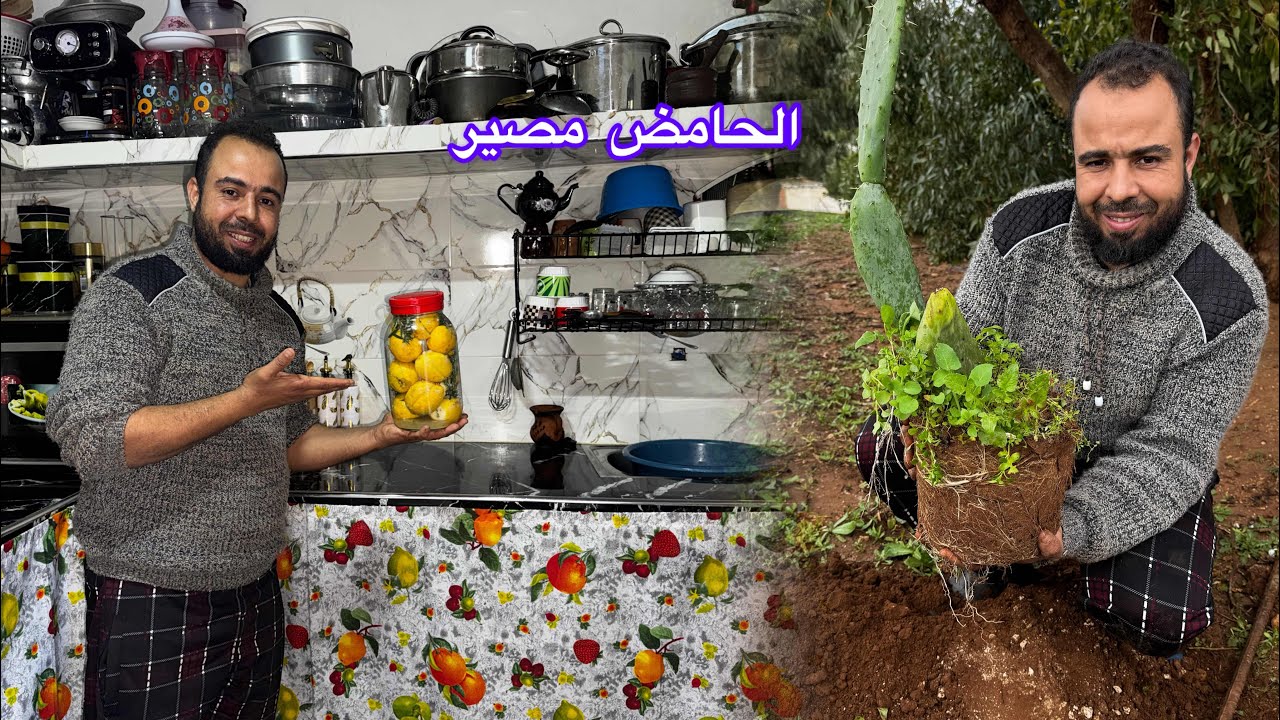 الشتا طايحة وخيرات ربي معانا… عبدالله صايب الفطور وزرعنا التين الشوكي! 🌧️