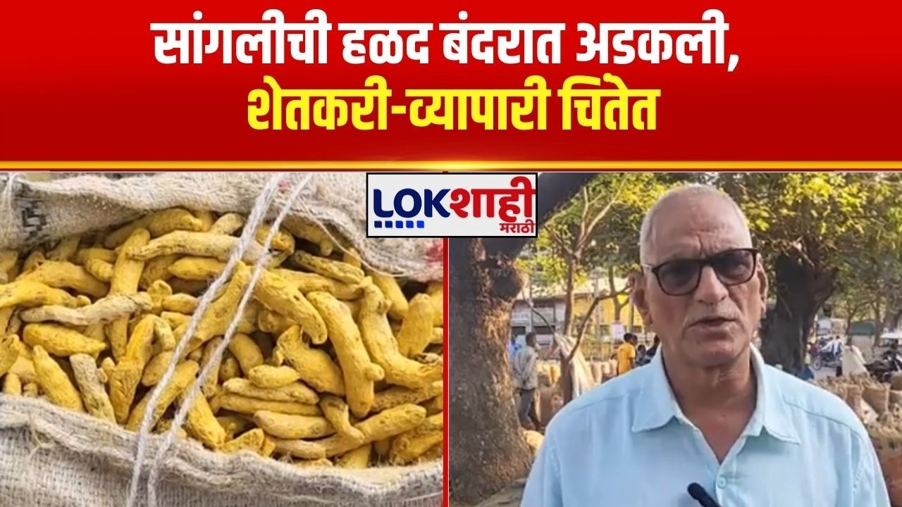 Sangli | आखाती तणावाचा परिणाम; सांगलीची हळद बंदरात अडकली, शेतकरी-व्यापारी चिंतेत