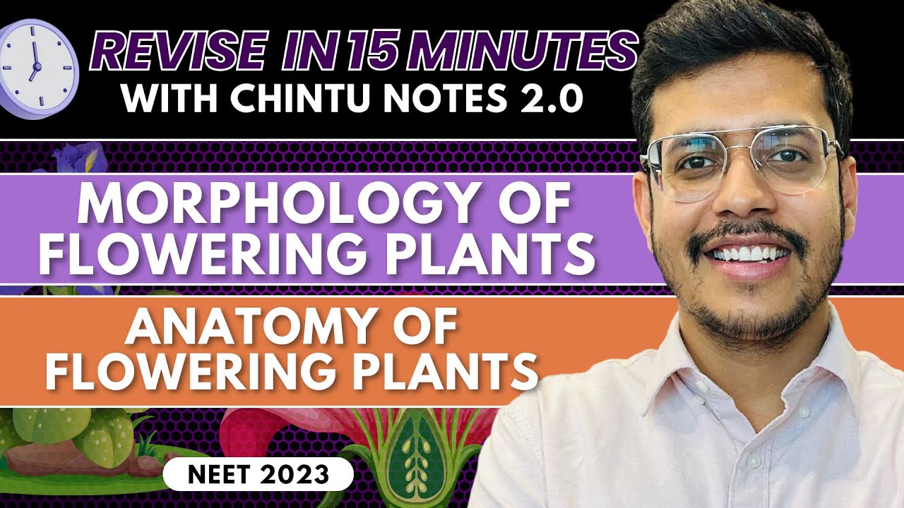 Morphology & Anatomy of flowering plants  In One Shot 🔥|Chintu Notes 2.0| NEET 2023 | Dr. Anand Mani