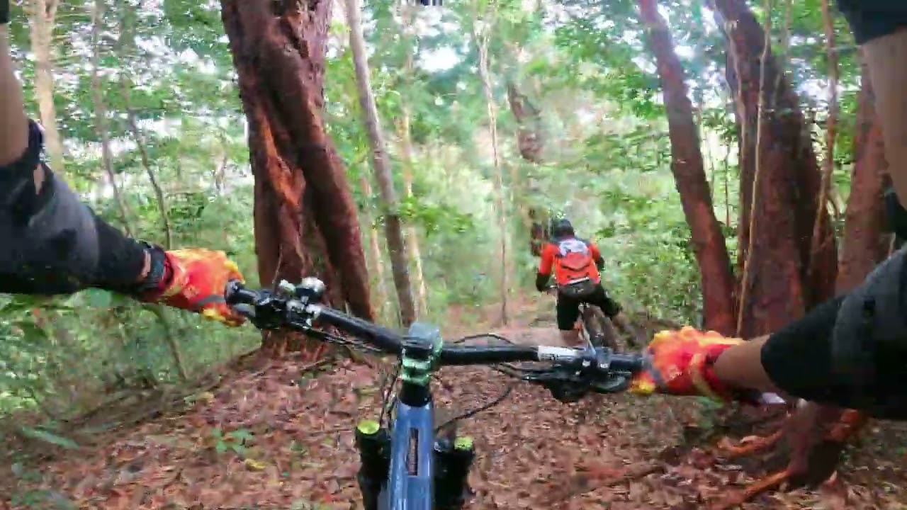 Jerai Downhill - The 