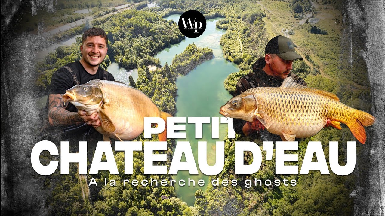 A la recherche des ghosts : p&ecirc;che de la carpe sur petit ch&acirc;teau d'eau (Carpasens)