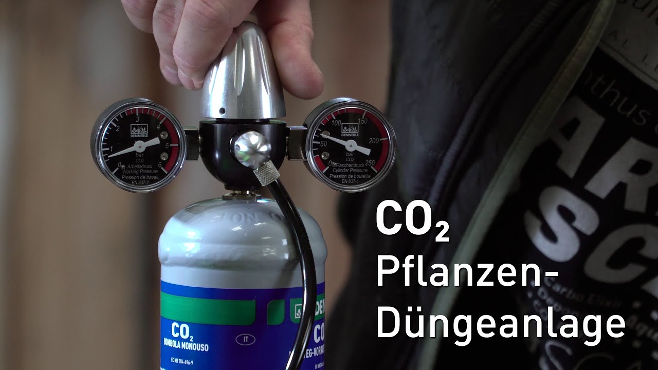 CO2 Anlagen für euer Aquarium | Carbo Power Aufbau und Anleitung