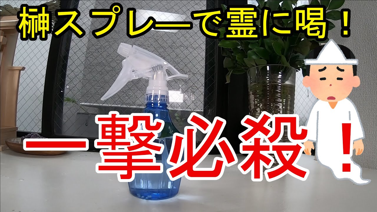 【霊障、念、邪気対策】オリジナル榊スプレーの作り方