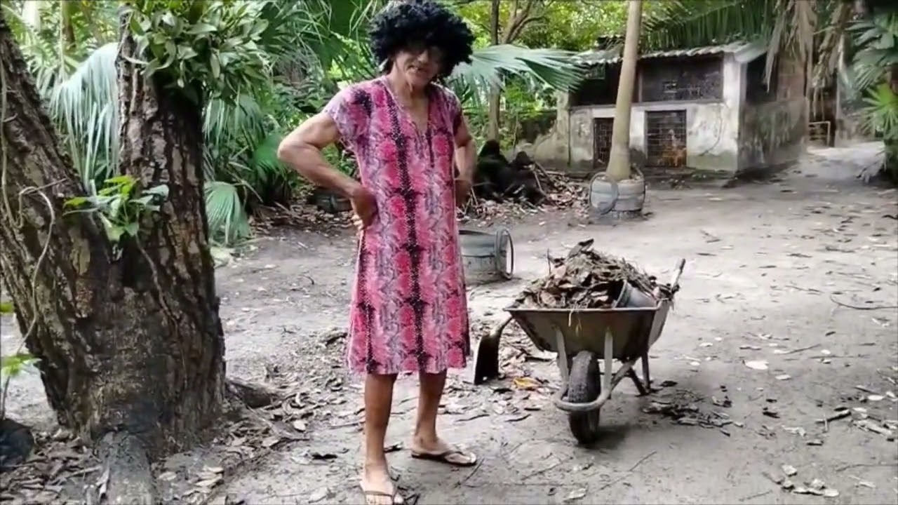 Canal Pedro bozó e Dona do sol , levando sempre muito humor e alegria 😁🥰