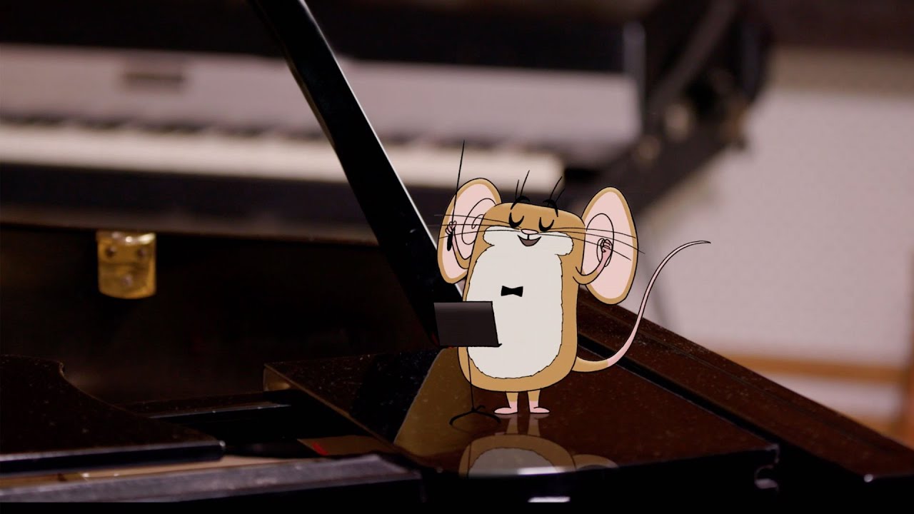 Wild Symphony - About the Book