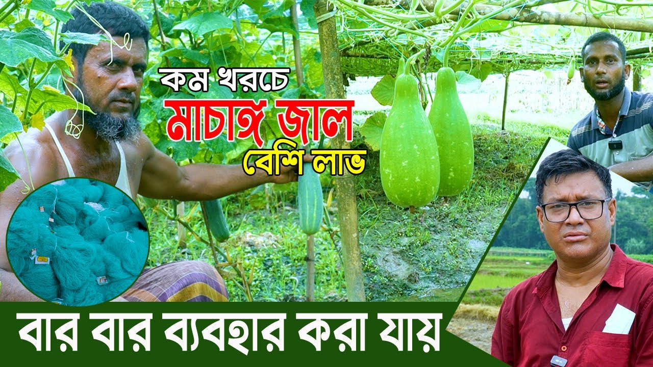 শশা ও লাউ চাষে লাভমান কৃষক। ম্যাজিকের মত মাচাঙ্গ জাল। বার বার ব্যবহার করা যায়। অল্প খরচে বেশি লাভ