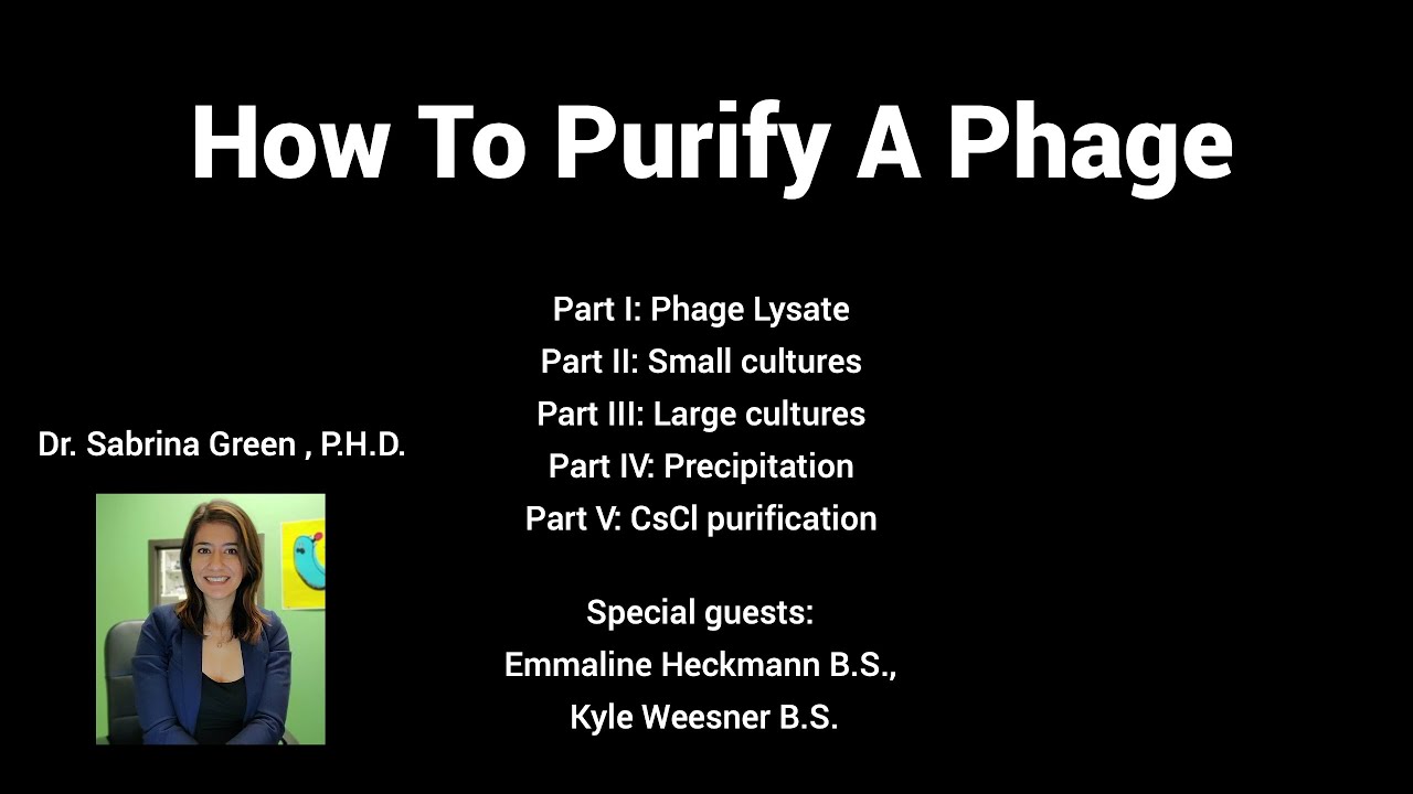 How To Purify A Phage