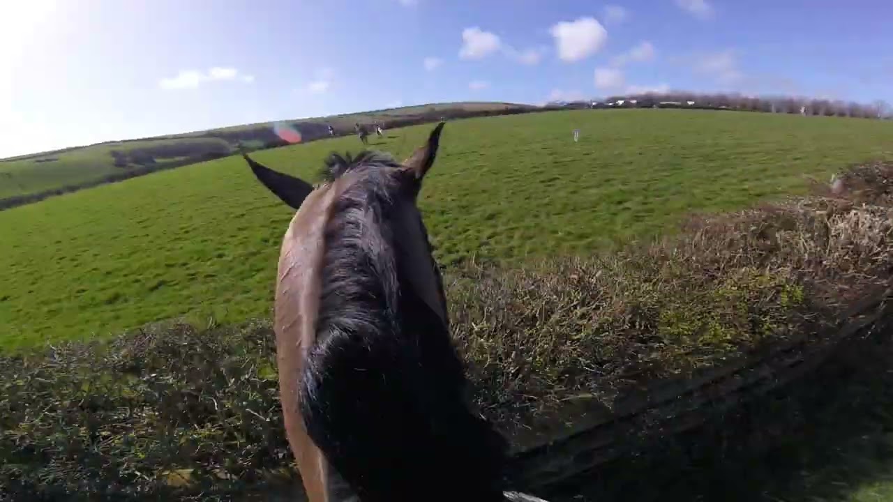 The Scurry Of East Sussex 2022