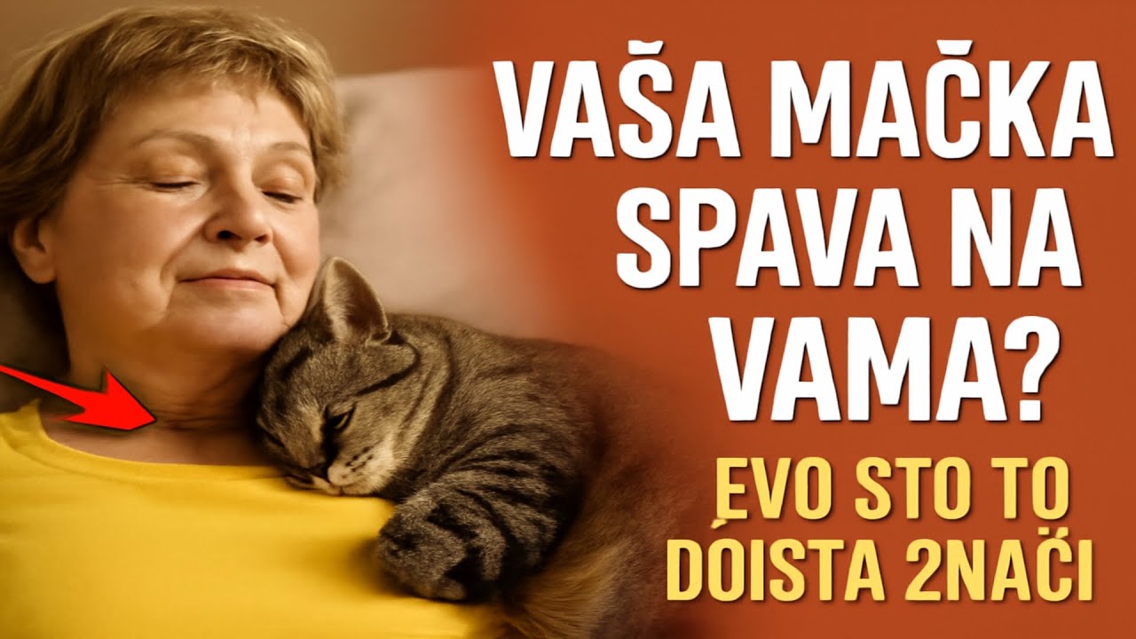 Vaša mačka spava na vama? Evo što to doista znači.