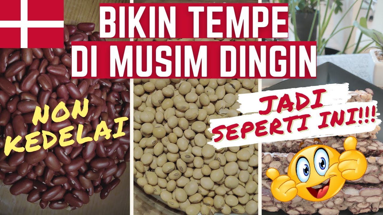 CARA MEMBUAT TEMPE NON KEDELAI SAAT MUSIM DINGIN DI DENMARK || EMANG BISA YA!?? COOKING SUNDAY E03