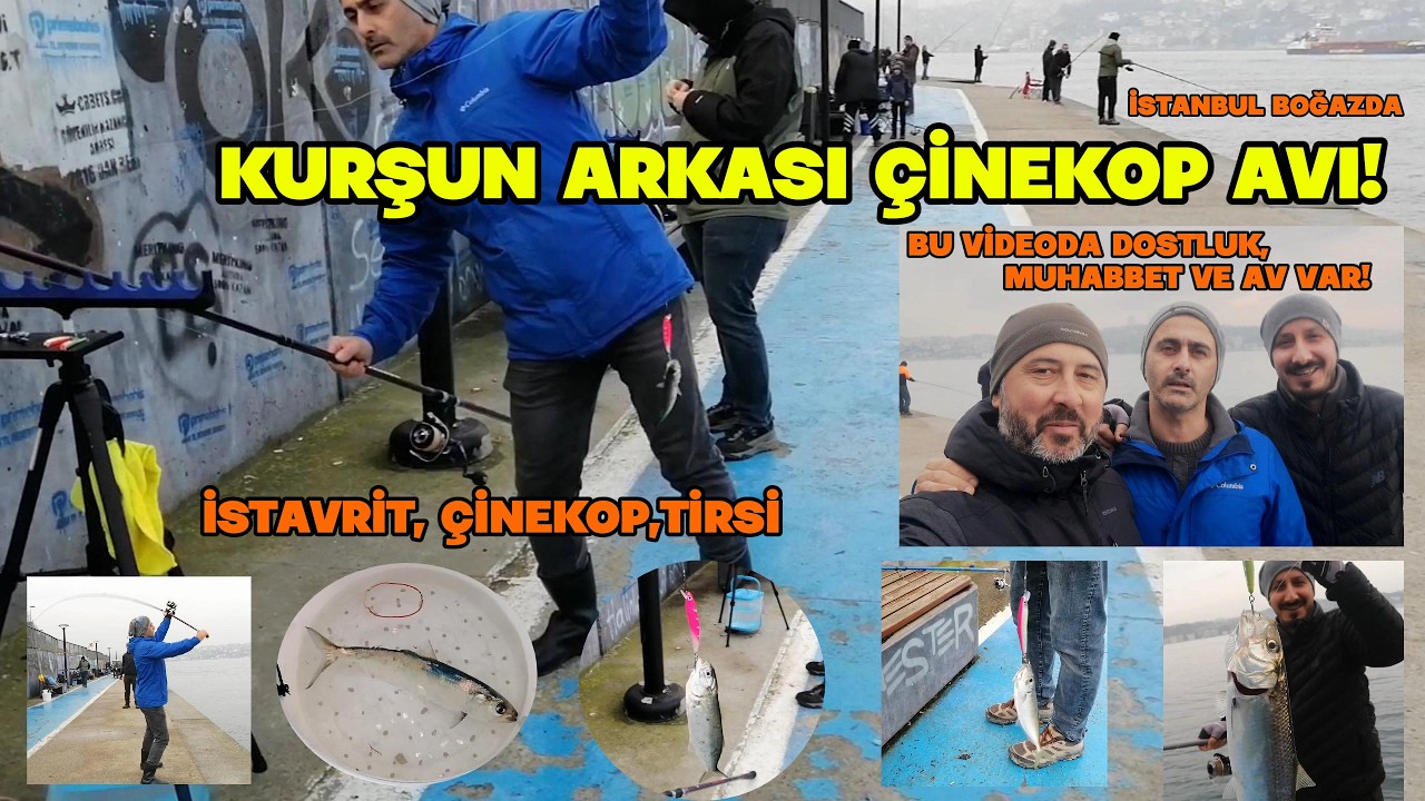 Boğazda Kurşun Arkası ÇİNEKOP AVI! Sahteye TİRSİ ve İstavrit de geldi 🎣 Lead-Behind Bluefish Fishing