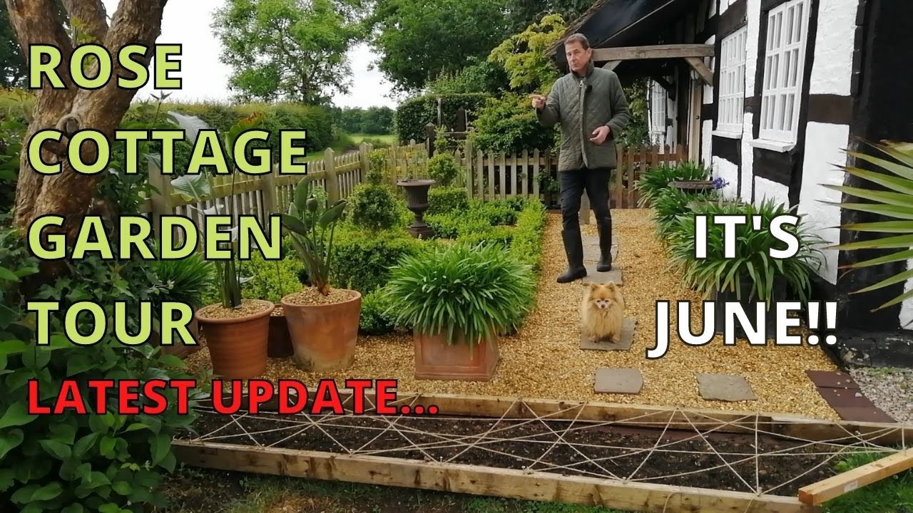 Rose Cottage, Garden Tour, Latest UPDATE, Mark's Garden UK