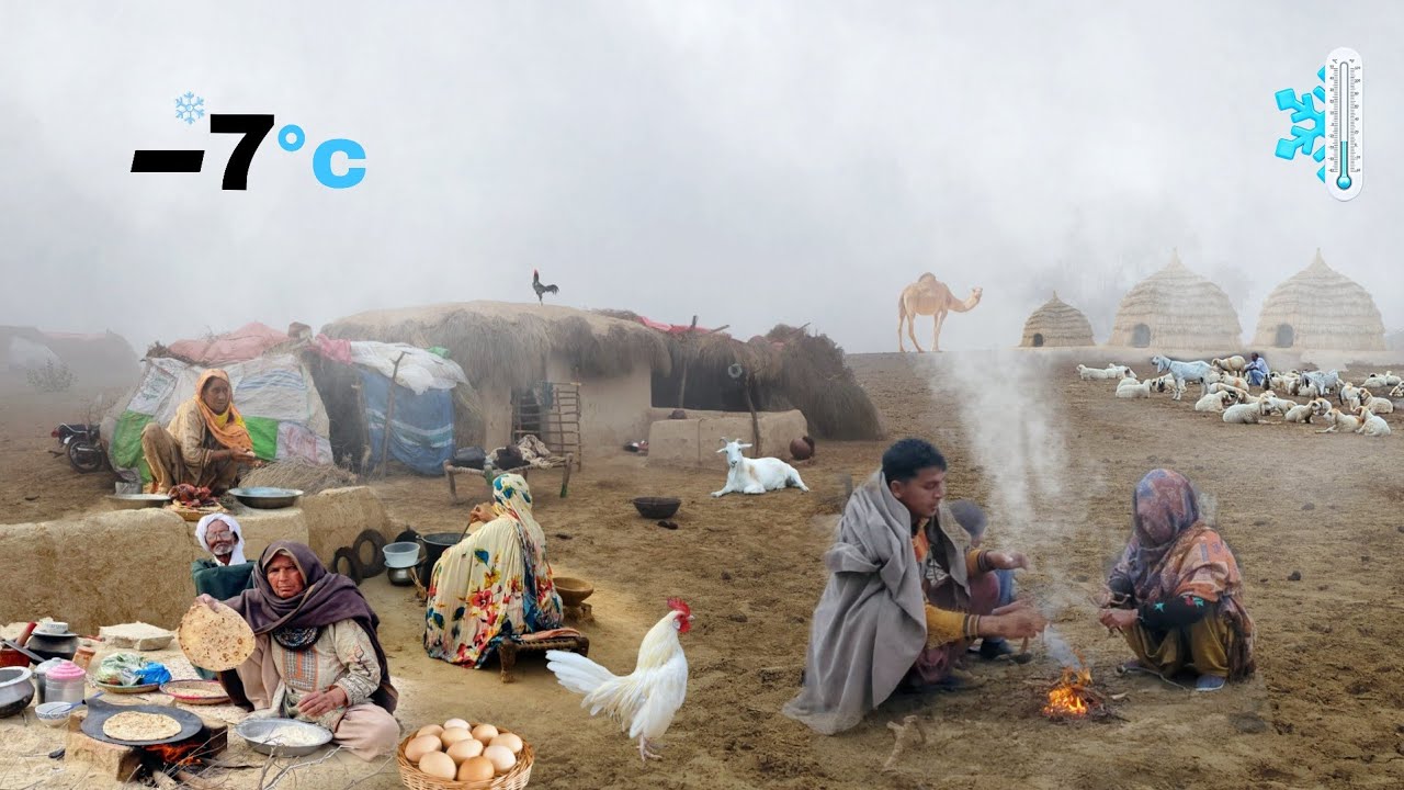 Old Woman Surviving -7°C in Cholistan ❄️ | Desert Life Reality | People living in desert Winter fog 